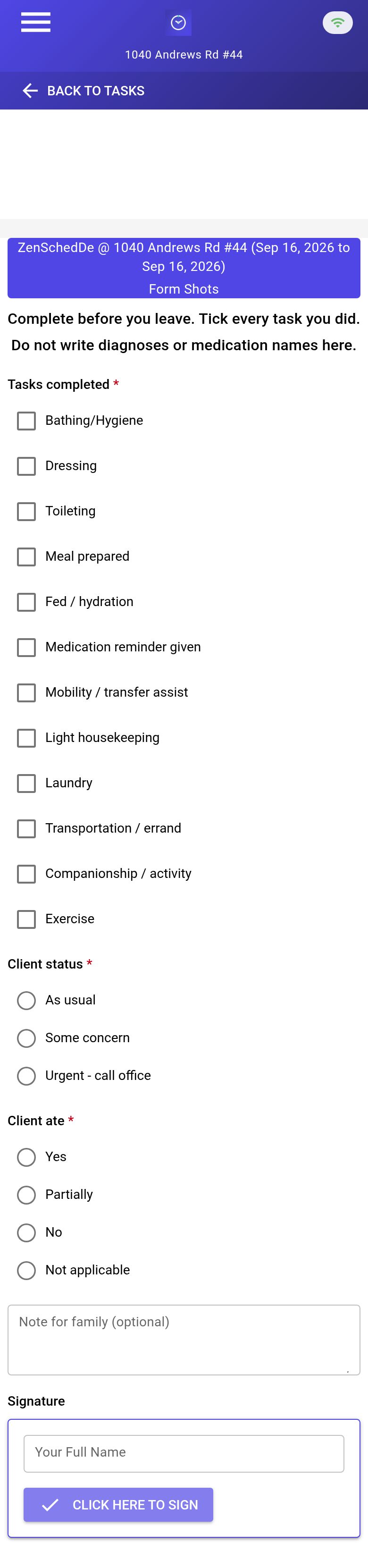 Empty Visit Record form showing care-task checklist and conditionally hidden concern note