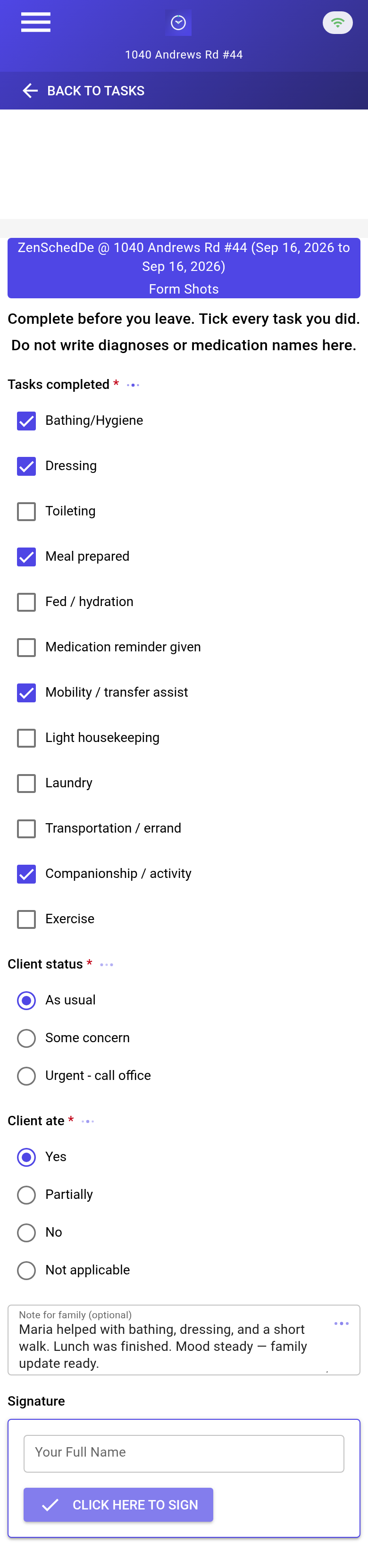 Completed Visit Record showing tasks checked, a concern flag, and an optional note
