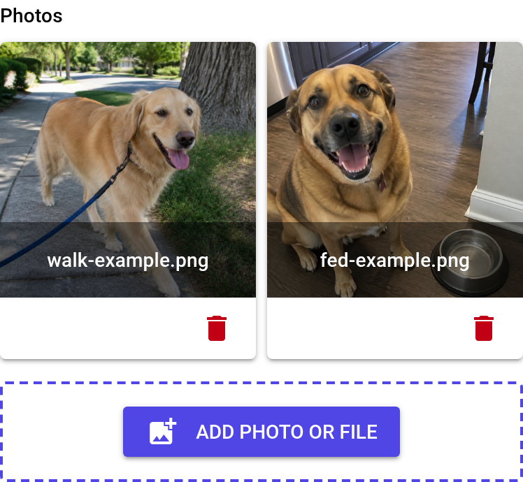 Close-up of two photo thumbnails in the Visit Report: walk-example.png and fed-example.png